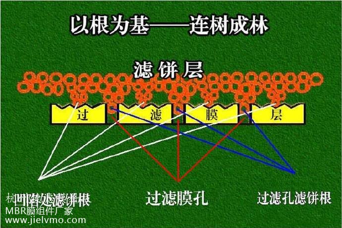 MBR膜組件